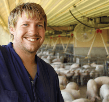 Swine farm manager job description